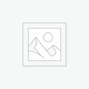 ST High-End Electric Guitar L-G2-PRO-GD